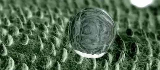 1753926639112098.png 图片15.png