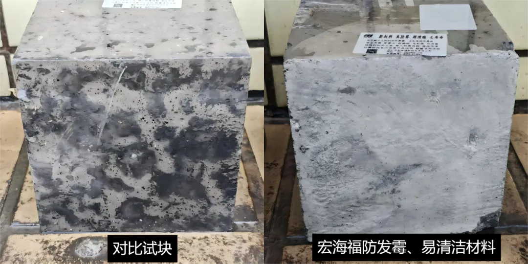 1753926715195284.png 图片20.png