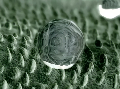 宏海福全新推出高耐刮擦、防霉、易洁专用涂层